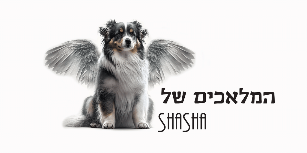 כלב עם כנפיים מטאליות כסופות כסטייל מלאך לצד טקסט "המלאכים של SHASHA" בעברית ואנגלית