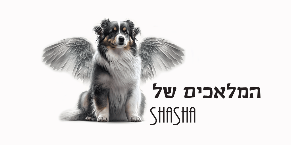 המלאכים של shasha