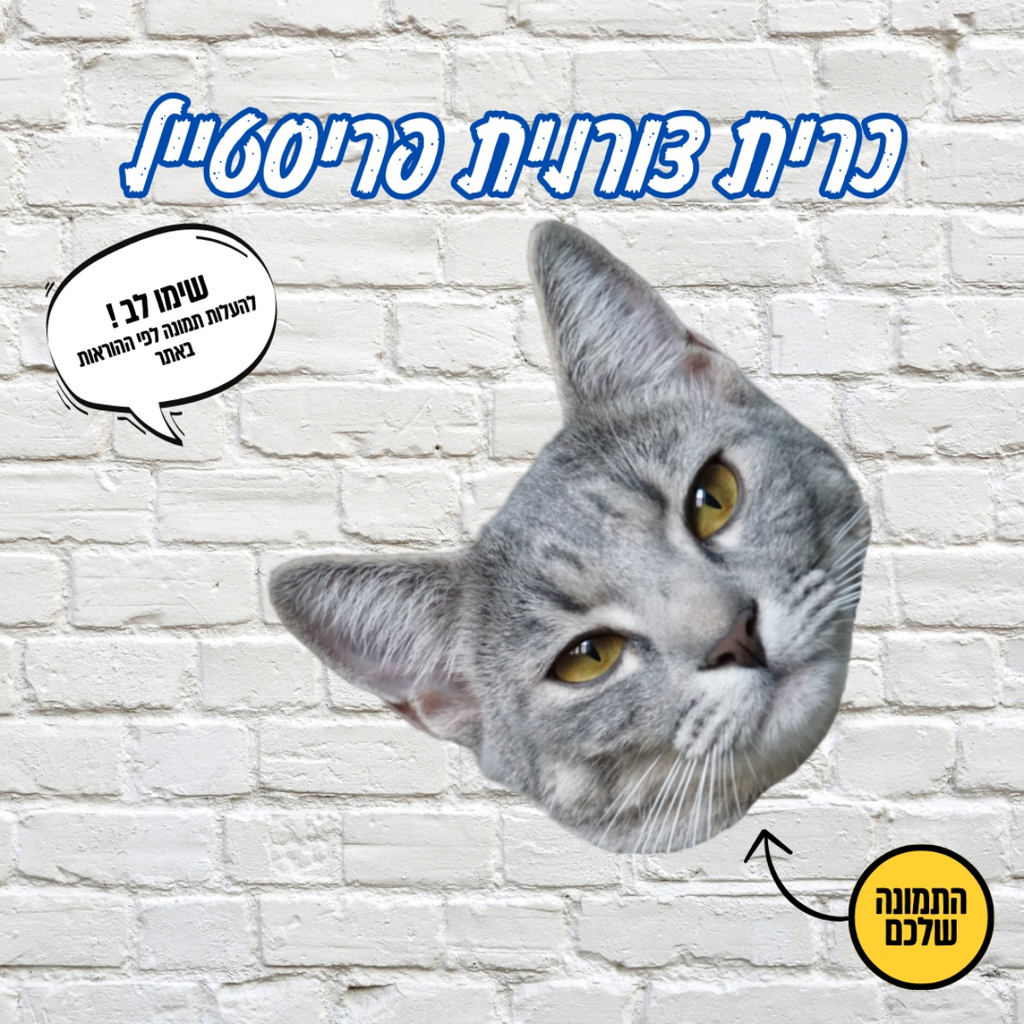 כריות פרצוף צורניות